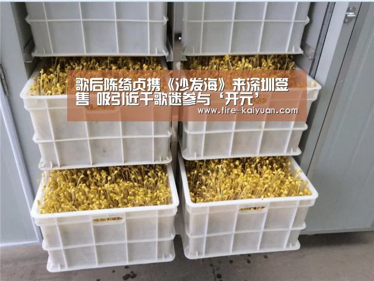 开元棋牌官网