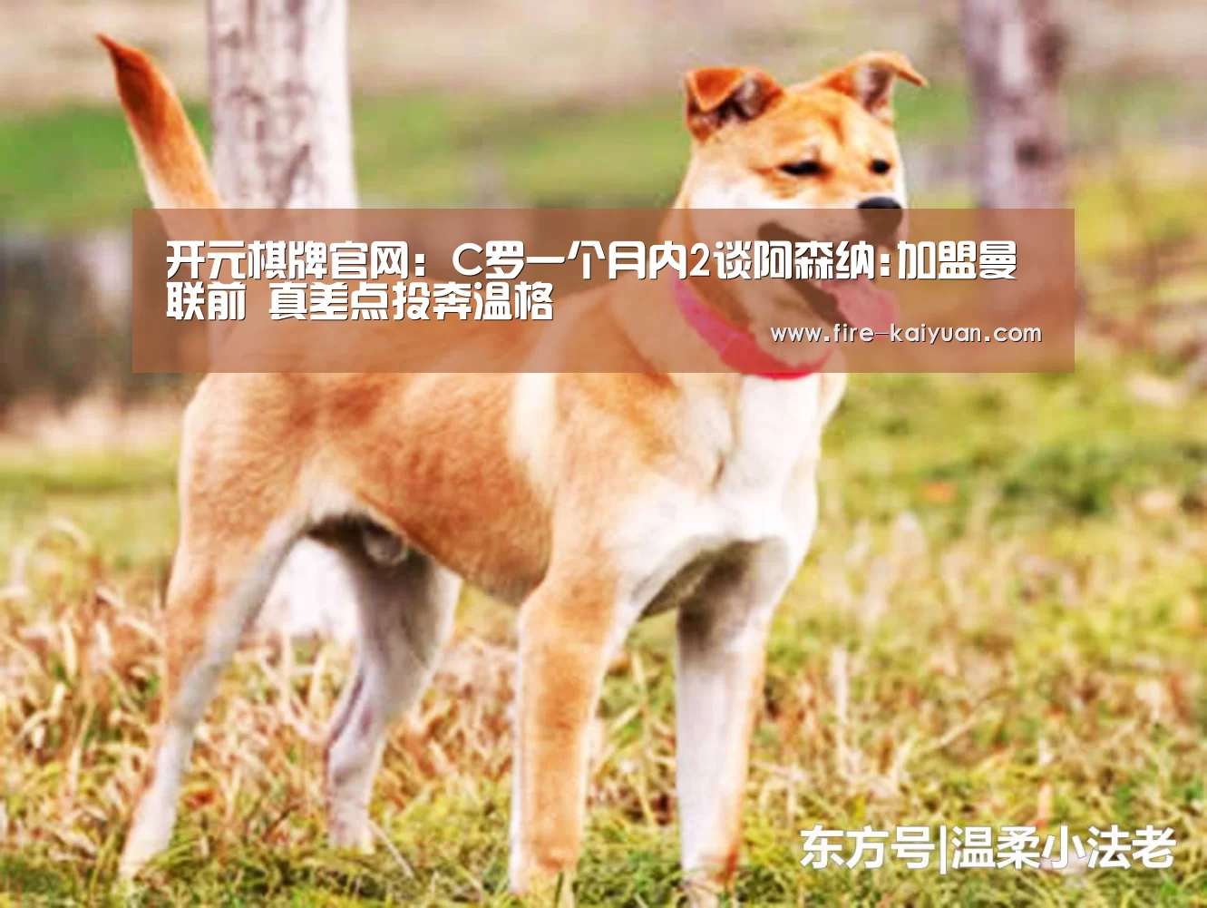 开元棋牌官网:C罗一个月内2谈阿森纳:加盟曼联前 真差点投奔温格(图2) 开云体育官网