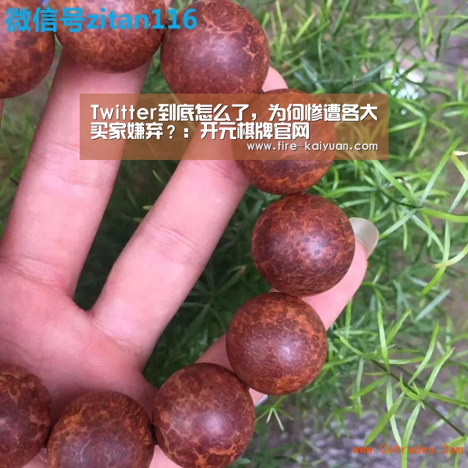 Twitter到底怎么了,为何惨遭各大买家嫌弃?:开元棋牌官网(图2) 开元
