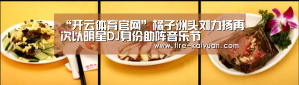 “开云体育官网”橘子洲头刘力扬再次以明星DJ身份助阵音乐节(图1) 开云体育官网