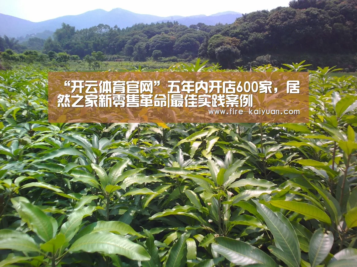 “开云体育官网”五年内开店600家,居然之家新零售革命|最佳实践案例(图2) 开元