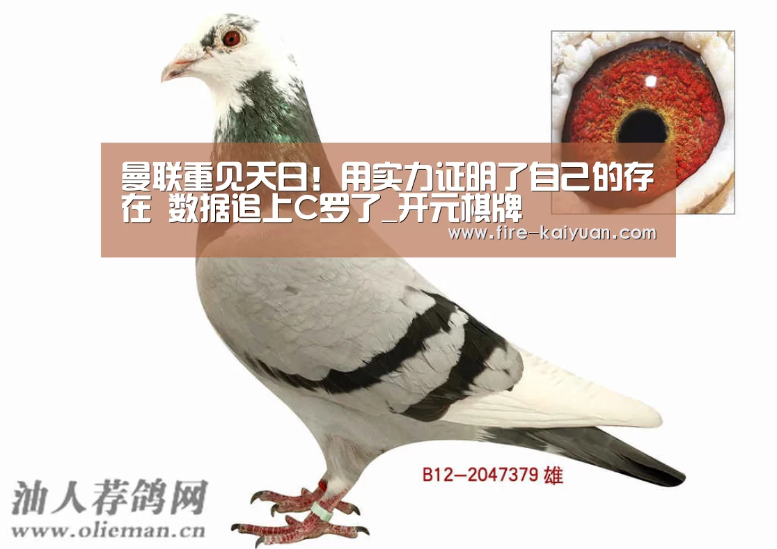 开元棋牌官网